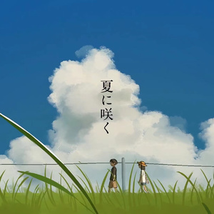 中文字幕不卡视频
