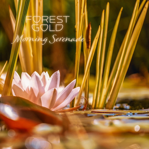 中文字幕不卡视频
