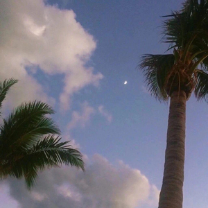 中文字幕不卡视频
