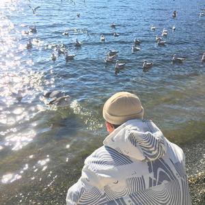 中文字幕不卡视频
